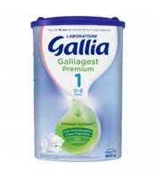 Gallia Galliagest Premium 1 Lait En Poudre B/800g à La Seyne sur Mer